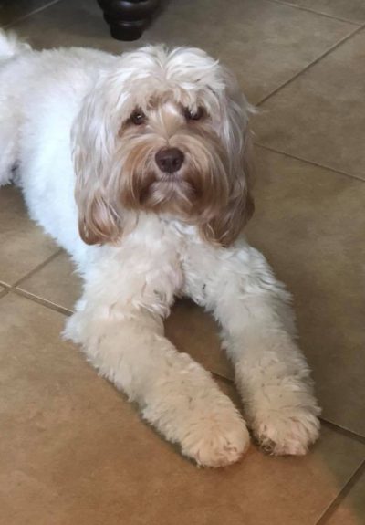 Lulu Feb 2019 Lulu Feb 2019