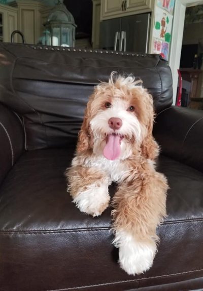River – 5months River - 5months